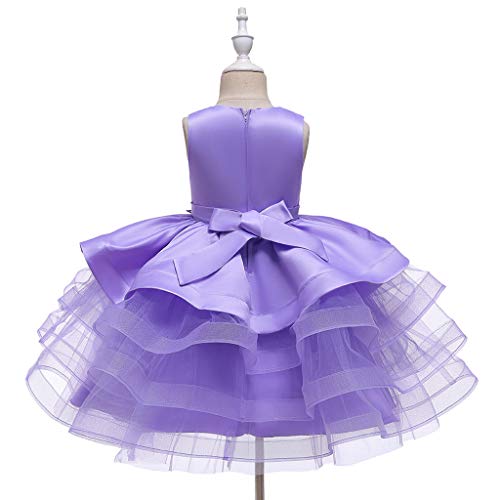 KAGAYD Flower Girl Party Dresses for Graduation Wedding Kids Appliques Embroidered Birthday Dress Tulle Puffy4