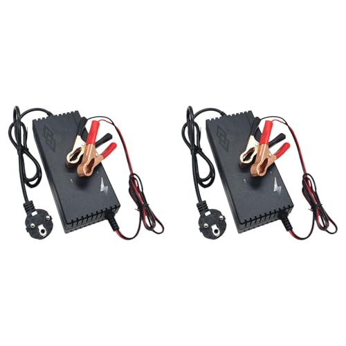 Chargeur LiFePo4 14,6V 10A double avec charge rapide intelligente 4S