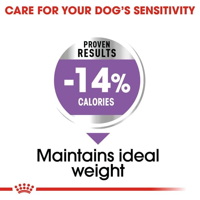 Royal Canin Sterilised Maxi sucha karma dla kastrowanych dużych psów, 12 kg