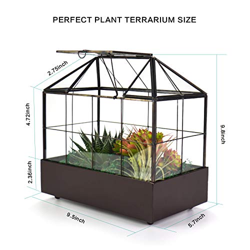 Large Tall Plant Terrarium Glass – Glass Greenhouse Terrarium With Lid And Tray,Indoor Tabletop Orchid Succulent Cacti Terrarium Kit 9.5”X9.8”X5.6” #TOP5