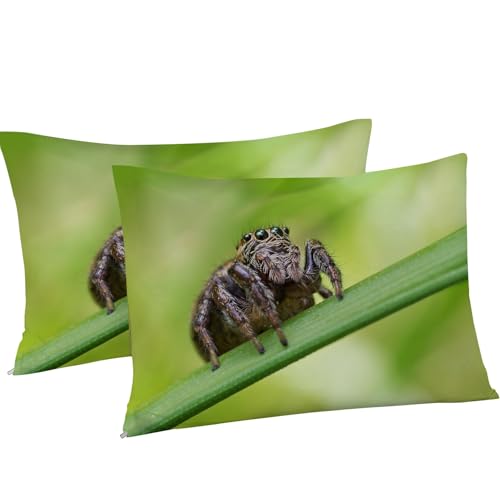 Parure de lit 140x200 feuille et araignée pour chambre enfant moderne - 5