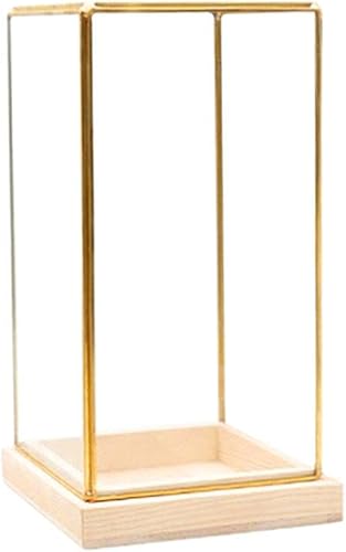 homozy Vitrina de cristal genérico, vitrina decorativa a prueba de polvo con marcos de latón, cerradura, caja de exhibición para coleccionables, disponible en Yaxa Colombia