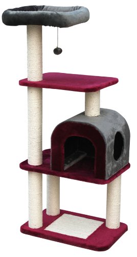 Nobby Cat-Scratcher Chogan