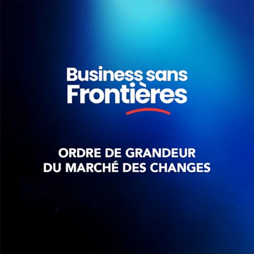 Comprendre le march&eacute; des changes : enjeux et transformations pour les entreprises fran&ccedil;aises &agrave; l'international