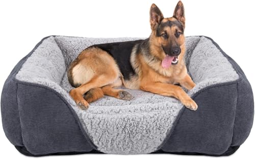 JOEJOY Cuccia Cane XXL Interno Grigio
