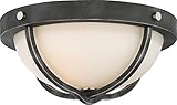 Nuvo 60/6126 Two Light Flush Mount, Pack of 1, Bronze/Dark