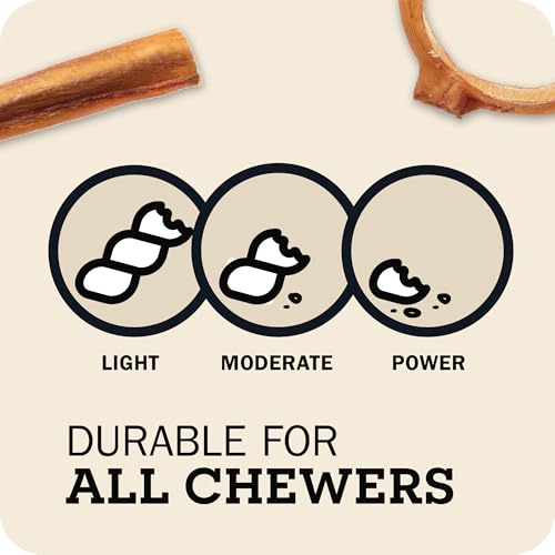 Redbarn 12" Braided Bully Sticks for Dogs, Pack of 1 - Image 7