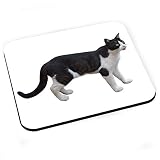 Tapis de Souris Chat Noir et Blanc Europeen Mignon Chat de Ville Felix