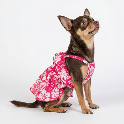 Robe pour chien de petite taille légère contre la chaleur de l'été - 6