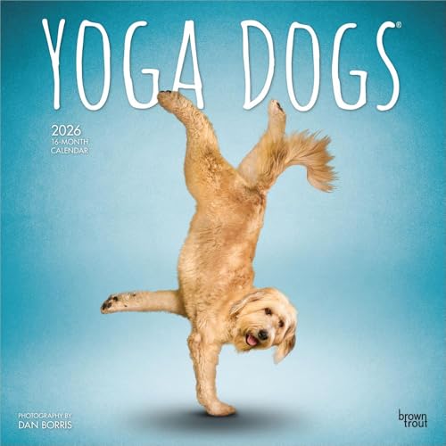 Yoga Dogs OFFICIAL | 2026 12 x 24 Inch (Hanging) Monthly Square Wall Calendar | Plastic-Free | BrownTrout | Animals Humor Pets