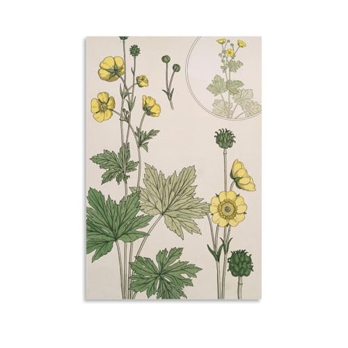 Idée cadeau déco avec l'affiche florale Art Nouveau renoncule de Verneuil 1896