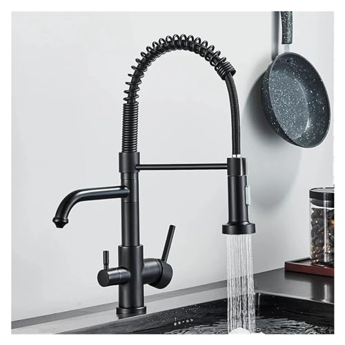Robinet de cuisine en laiton avec double pulvérisateur et jet filtré