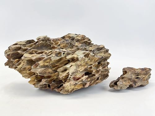 Small Dragon (Ohko) Stone (5 lbs) Aquarium Decoration Aquascaping Rock