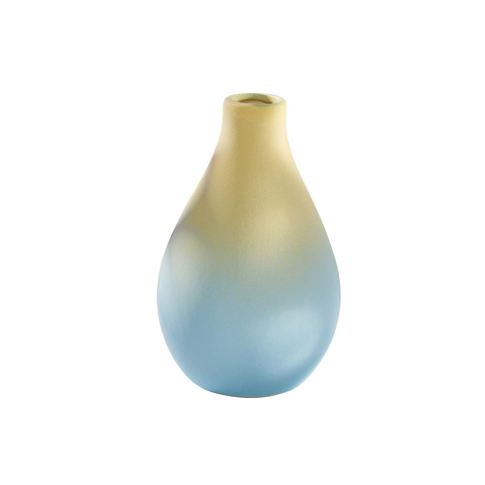 Vase en céramique dégradé pour fleurs séchées sur étagère de chambre