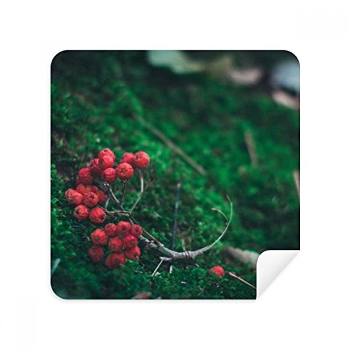 Chiffon de nettoyage écran téléphone portable et essuie-lunettes suède paysage fruit rouge