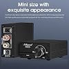 Nobsound 100W Full Frequency Mono Channel Digital Power Amplifier Audio Mini Amp (Black)