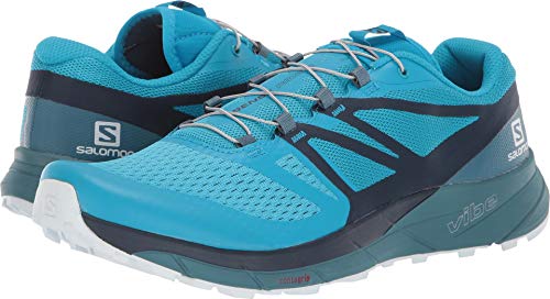 サロモン（サロモン） SENSE RIDE 2 L40673800 （ブルー/２５．０/Men's）