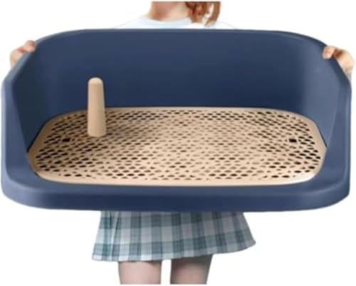 GirlmarrypgCgCybg TCfBO tChg[jOp {bNX [jOApbhz_[O\~ߑ|ȒPRۉO (D)