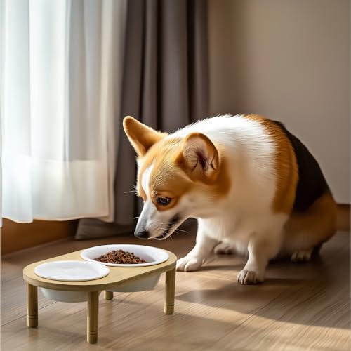 Navaris Futterstation Hund erhöht - 350 & 650 ml - Hundenapf Keramik in Bambusständer - Hundenapf erhöht für Wasser und Futter - Mikrowellen- und Spülmaschinenfest