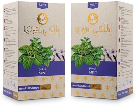 Natural Mint Tea - Mint Herbal Tea for Boosting Immunity and Body Vitality | 20 Bags | Pack of 2