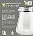 Teabloom One-Touch Tea Maker, 2-in-1 Teapot and Kettle with Stainless Steel Filter Lid for Loose Tea – Stain-Free Borosilicate Glass Teapot (27 Oz) – Tea Connoisseur's Choice