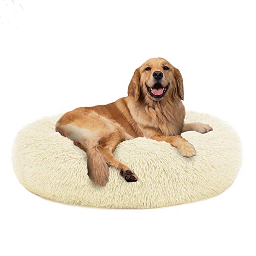 Calm Your Dog with UK's Top Calming Beds!