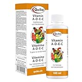 Quiko Vitamine A-D-E-C -100 ml Pour l'apport de vitamines aux oiseaux d'ornement, pigeons voyageurs et poules - Pour l'apport de vitamines après les cures de coccidies - Idéal en situation de stress