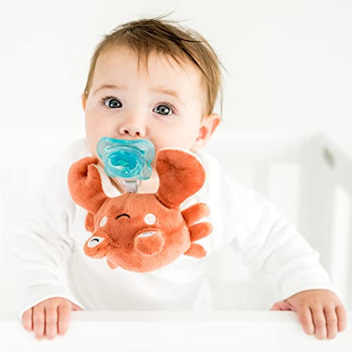 Image of Queebi PaciBuddy Crab Pacifier Holder - Plush Toy with Detachable Pacifier & Universal Adapter, Gender Neutral Baby Gift for 0+ Months - Infant Plush Baby Toy, Versatile Baby Essentials, Binky
