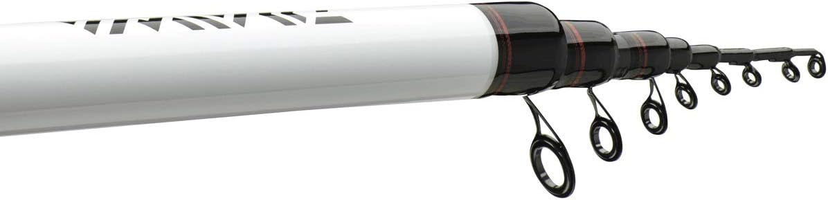 Daiwa Ninja Bolo 6.00m -25g Fishing Gear, Fishing Pole, Fishing Rods