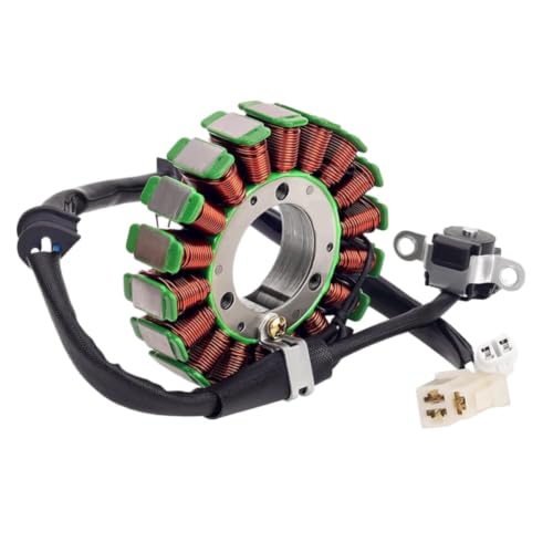 Bobina de estator YBR250 para asegurar el correcto sistema de carga en YS250