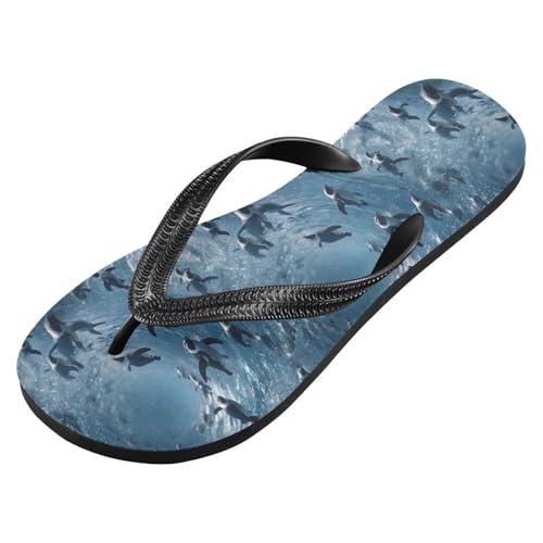 Flip Flop Sandals Swim Penguin Print for Women Men Beach Outdoor XS2