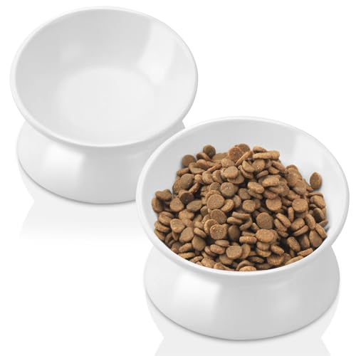 TERRIFI Ceramic Cat Bowls, Set of 2 Tilted Elevated Stress Free Pet Food and Water Dishes for Small to Medium Cats and Dogs (White)