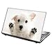 TaylorHe - Laptop Skin Adesivo in Vinile per Computer Portatile da 13-14" (34cm x 23,5cm) Prodotto in Inghilterra Cane Divertente, Animale Domestico Carino
