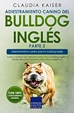 bulldog ingles cachorro  Adiestramiento canino del bulldog inglés parte 2: Cómo construir una relación única con tu bulldog inglés a través del entrenamiento enfocado a objetivos