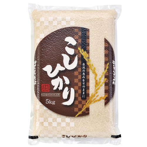 ̌ RVqJ 5kg xRY _sgp w엿sgp L@͔| L@JASF ߘa7NxV