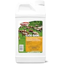 Control Solutions Inc. - 825700 - Lice Ban - Insecticide Concentrate, 64oz