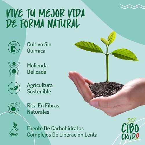Miniatura 8 de Harina De Avena Integral Ecológica En Polvo - 500g. Harina Avena Integral Molida En Polvo Sabores Neutro. Avena En Polvo Proteica Para Pizza Pasta O Dulces Como Pancakes.