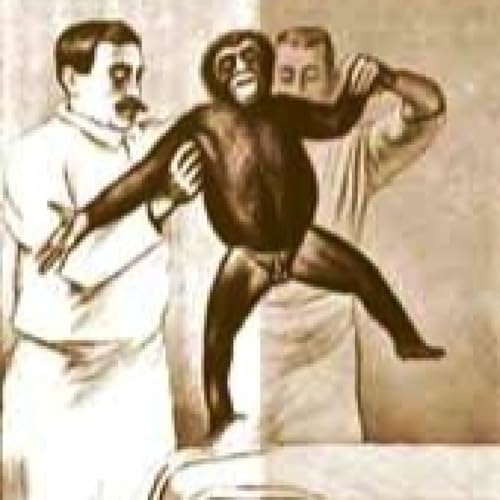 Escribir es una cuesti&oacute;n de... &iquest;g&oacute;nadas? El tratamiento de Yeats, Knut Hansum y Anatole France.