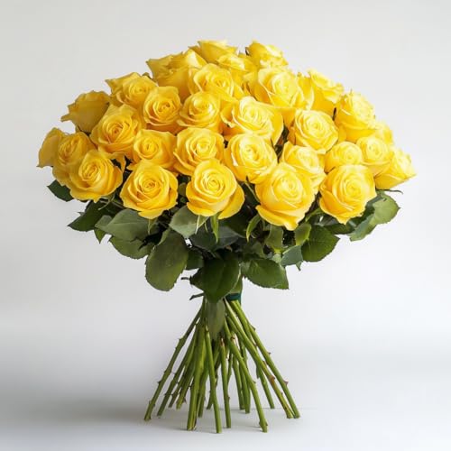GlobalRose 50 Yellow Roses Bouquet - Responsibly Sourced Roses Fresh