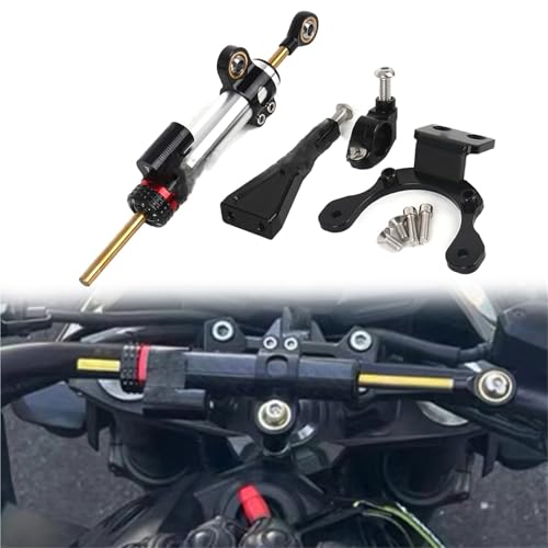 Amortisseur Direction Kawasaki Z900 Kit Support Stabilisateur Guidon Argenté 2020-2024