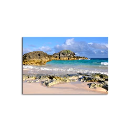 A[g R̕i |X^[ t[ zt pl ؘgt̊i yĎt₷ Ch LoX CeA G pl C r[`  p rO _CjO ֗p Xܗp ?