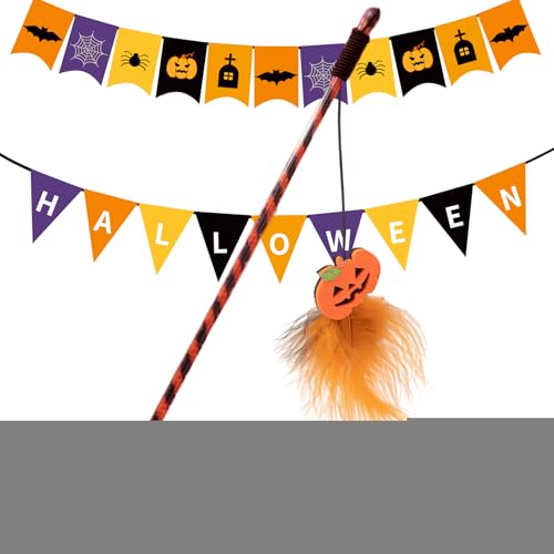 �L�p�������� �����h,�C���^���N�e�B�u �n���E�B�� �q�L�p�X�e�B�b�N | �p���v�L���S�[�X�g�t�� �l�ԍH�w�݌v �L����炵 �ދ����� ��{�\�h�� �g���[�j���O �^���p �H�t��