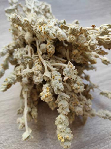 Té Salvaje Griego De Montaña Malotira Sideritis Syriaca 220g - 5KG Cosecha Junio 2022 (5 KG) - Imagen 5