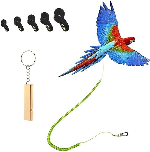 Parrot Harness for Outdoor Flights: Which One Will Soar Above the Rest? 6 Parrot Bird Harness Leash Anti-bite Outdoor Flying Training Rope with 5pcs Different Sizes of Soft Foot Loops and Training Whistle(Upgraded Version of Ankle Ring)