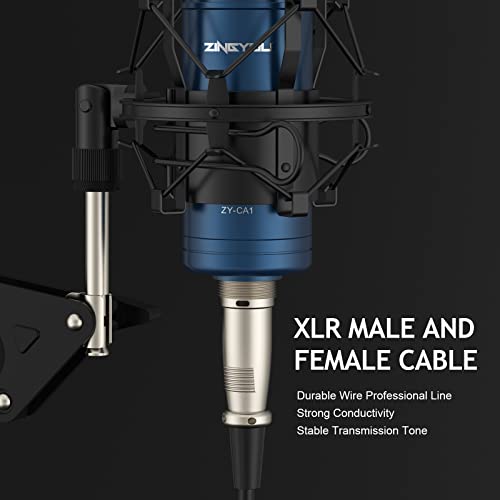 Zingyou Xlr Condenser Microphone, Studio Mic Kit With Boom Arm Stand, Shock Mount, Pop Filter, Windscreen And Cable Ties For Recording, Stream, Home Studio, Youtube, Voice Over, Vocal, Ca1 (Blue) #TOP7