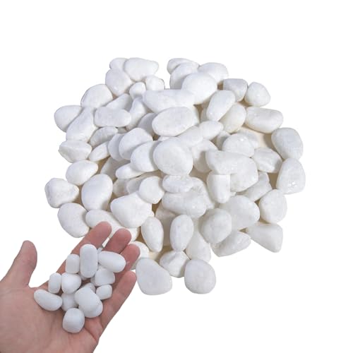 Galets, Galets Blancs de Jardin, Pierres Décoratives, Pierres de Rivière Plantes, pour L'aménagement Paysager, la Décoration de la Maison, L'artisanat, les...