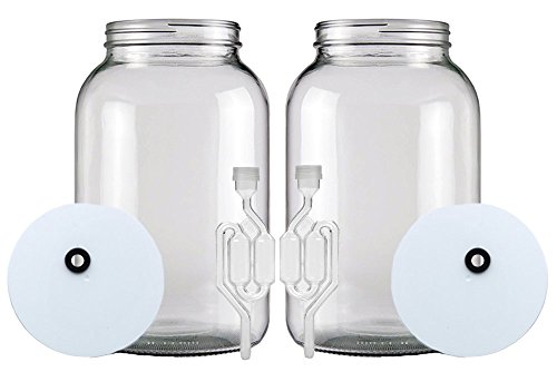 Fastrack One Gallon Wide Mouth Jar With Drilled Lid & Twin Bubble Airlock-Set Of 2, Multicolor (B01Akb4G9E) #TOP1