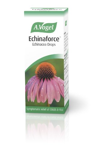 A Vogel Echinaforce Echinacea Drops 50ml