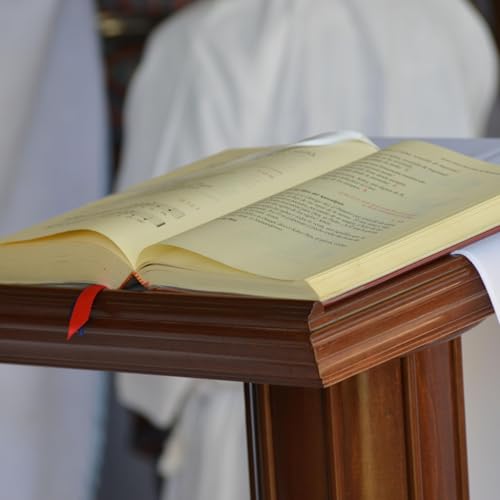 2025-12-22 Commentaires du P. Fournet