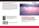 san pedro pinatar tiempo  Evolución y cambios en el paisaje de las salinas mediterráneas: Las Salinas de San Pedro del Pinatar, Murcia (España)